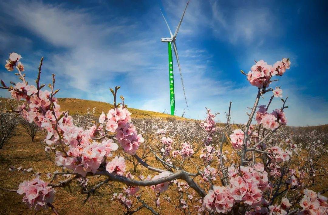 7790必发集团(中国)有限公司官网