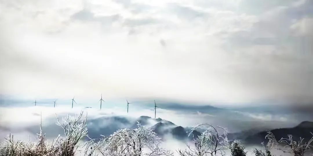 7790必发集团(中国)有限公司官网