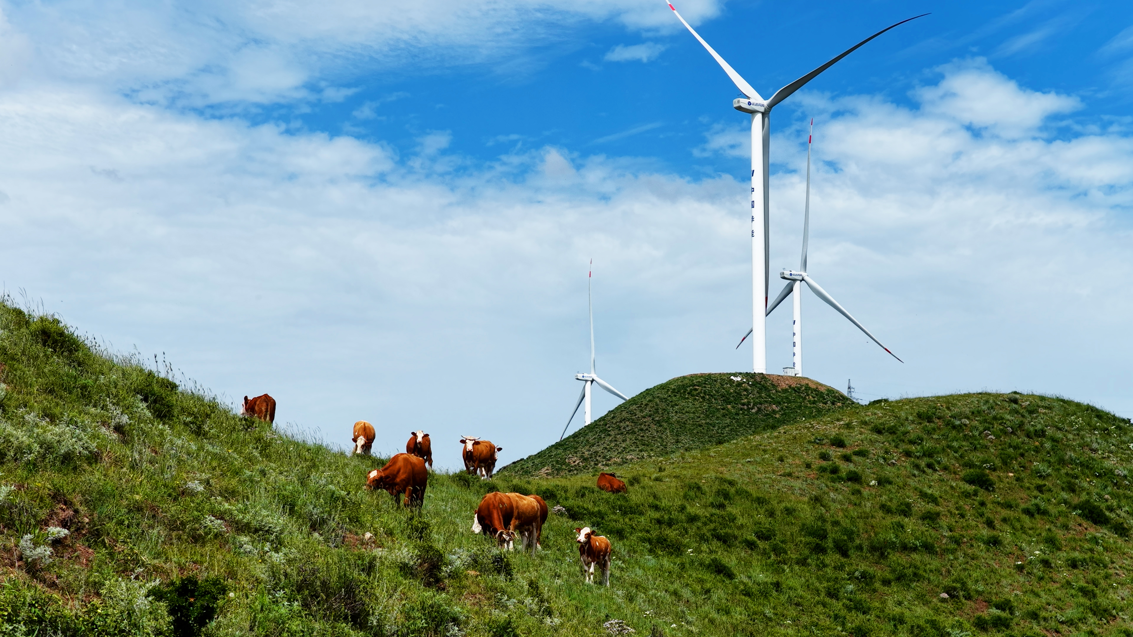 7790必发集团(中国)有限公司官网